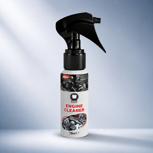 Quick Clean Engine Spray